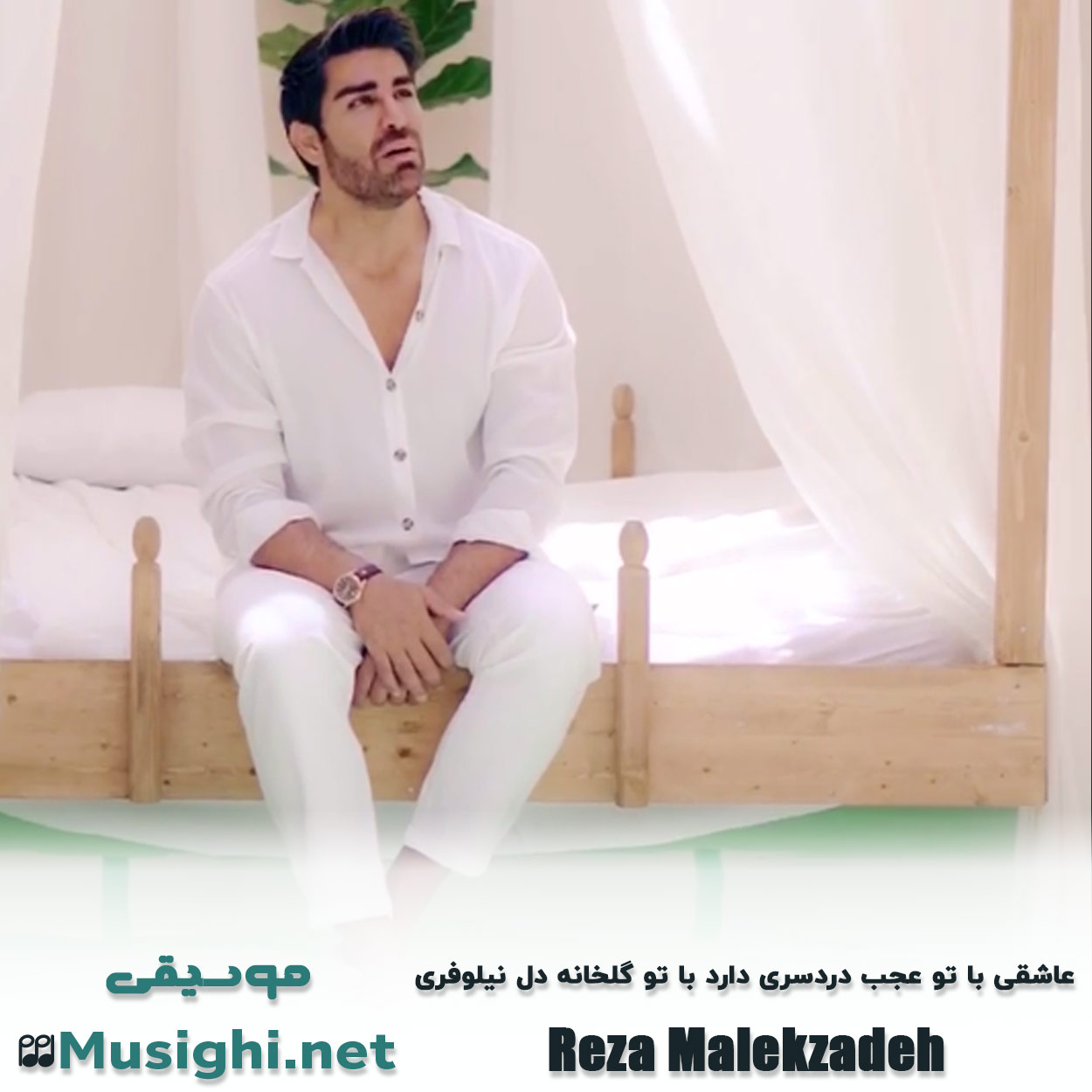 مشاهده تصویر دانلود آهنگ عاشقی با تو عجب دردسری دارد با تو گلخانه دل نیلوفری رضا ملک زاده دانلود اهنگ عاشقی با تو عجب دردسری دارد با تو گلخانه دل نیلوفری رضا ملک زاده